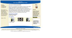 Desktop Screenshot of incea.bloombiz.com