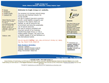 Tablet Screenshot of eaglegroupllc.bloombiz.com