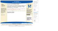 Desktop Screenshot of glassreflection.bloombiz.com