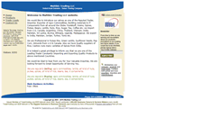 Desktop Screenshot of multibizdubai.bloombiz.com