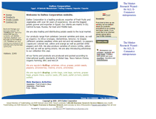 Tablet Screenshot of daltexcorp.bloombiz.com