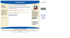 Desktop Screenshot of coslinkinternational.bloombiz.com