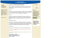 Desktop Screenshot of celiaconsulting.bloombiz.com