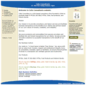 Tablet Screenshot of celiaconsulting.bloombiz.com