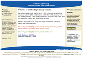 Tablet Screenshot of goldeneagleuae.bloombiz.com